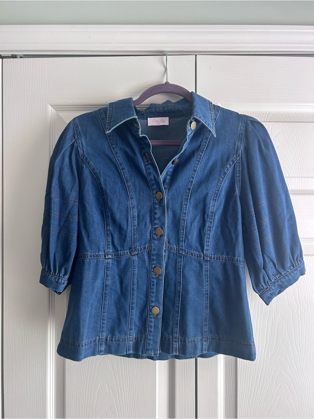 Pink Lily Denim Button-Front Top - Blue